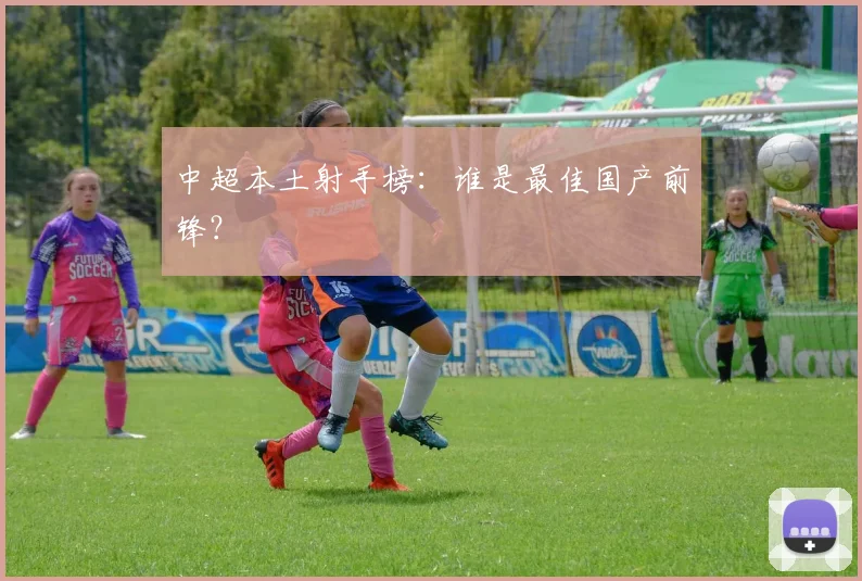 中超本土射手榜：谁是最佳国产前锋？